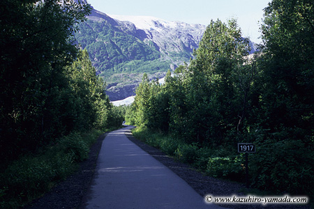 Kenai Fjords National Park / �L�[�i�C�t�B�����h��������
