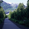 Kenai Fjords National Park / �L�[�i�C�t�B�����h��������