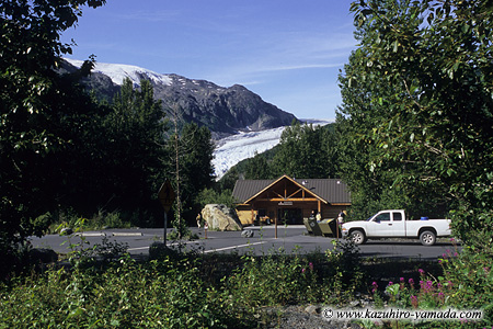 Kenai Fjords National Park / �L�[�i�C�t�B�����h��������