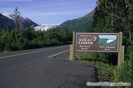Kenai Fjords National Park / �L�[�i�C�t�B�����h��������