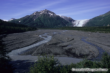 Kenai Fjords National Park / �L�[�i�C�t�B�����h��������