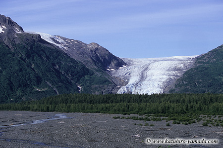 Kenai Fjords National Park / �L�[�i�C�t�B�����h��������