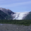 Kenai Fjords National Park / �L�[�i�C�t�B�����h��������