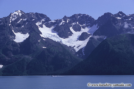Kenai Fjords National Park / �L�[�i�C�t�B�����h��������