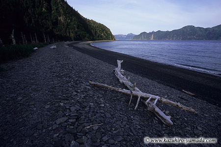 Kenai Fjords National Park / �L�[�i�C�t�B�����h��������