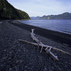 Kenai Fjords National Park / �L�[�i�C�t�B�����h��������