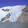 Kenai Fjords National Park / �L�[�i�C�t�B�����h��������