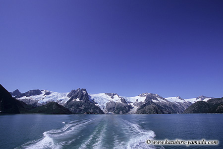 Kenai Fjords National Park / �L�[�i�C�t�B�����h��������