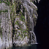 Kenai Fjords National Park / �L�[�i�C�t�B�����h��������