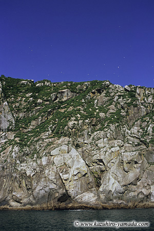 Kenai Fjords National Park / �L�[�i�C�t�B�����h��������