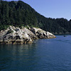 Kenai Fjords National Park / �L�[�i�C�t�B�����h��������