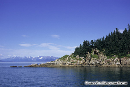 Kenai Fjords National Park / �L�[�i�C�t�B�����h��������