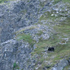 Kenai Fjords National Park / �L�[�i�C�t�B�����h��������
