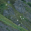 Kenai Fjords National Park / �L�[�i�C�t�B�����h��������