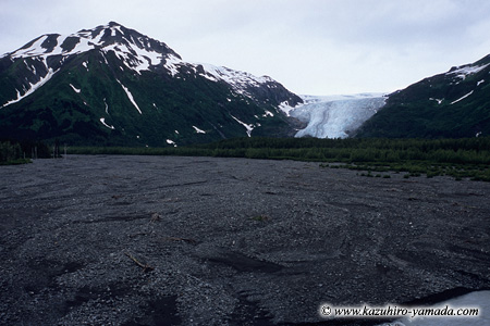 Kenai Fjords National Park / �L�[�i�C�t�B�����h��������
