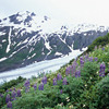 Kenai Fjords National Park / �L�[�i�C�t�B�����h��������