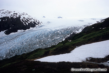Kenai Fjords National Park / �L�[�i�C�t�B�����h��������