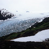 Kenai Fjords National Park / �L�[�i�C�t�B�����h��������