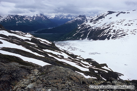 Kenai Fjords National Park / �L�[�i�C�t�B�����h��������