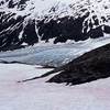 Kenai Fjords National Park / �L�[�i�C�t�B�����h��������