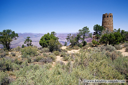 Desert View Point (1) / �f�U�[�g�r���[�|�C���g