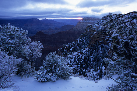Yavapai Point (1) / ���o�p�C�|�C���g
