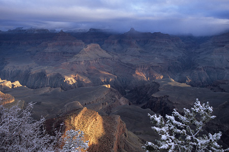 Yavapai Point (5) / ���o�p�C�|�C���g