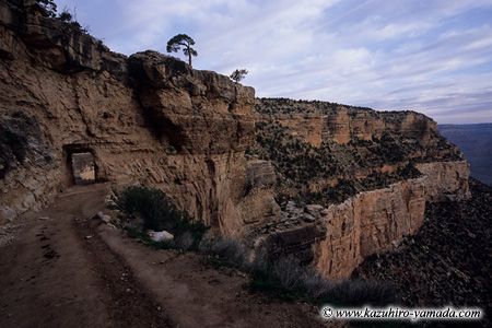 Bright Angel Trail (1) / �u���C�g�G���W�F���g���C��