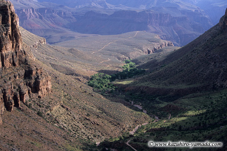 Bright Angel Trail (5) / �u���C�g�G���W�F���g���C��