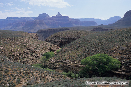 Trail to the Plateau Point (1) / �v���g�[�|�C���g�ւ̃g���C��