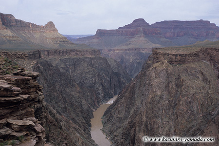 Plateau Point (1) / �v���g�[�|�C���g