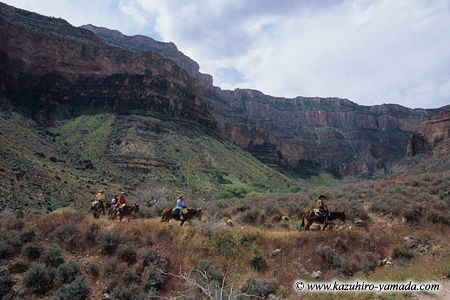 Mule Tour / �~���[���c�A�[