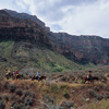 Mule Tour / �~���[���c�A�[