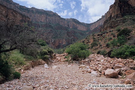 Garden Creek / �K�[�f���N���[�N