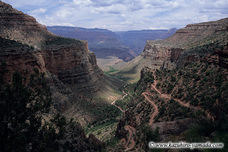 Bright Angel Trail (7) / �u���C�g�G���W�F���g���C��
