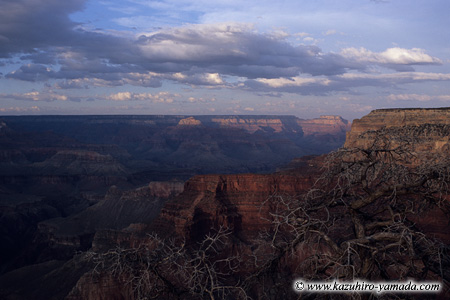 Pima Point (1) / �s�}�|�C���g