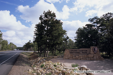 West Entrance Gate / �����Q�[�g