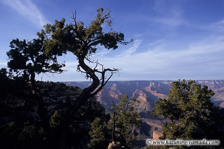 Grand Canyon National Park / �O�����h�L���j�I����������