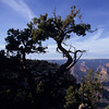 Grand Canyon National Park / �O�����h�L���j�I����������