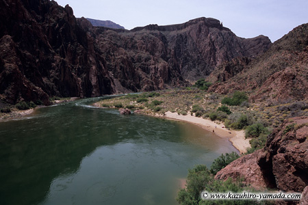 Colorado River (1) / �R�����h��