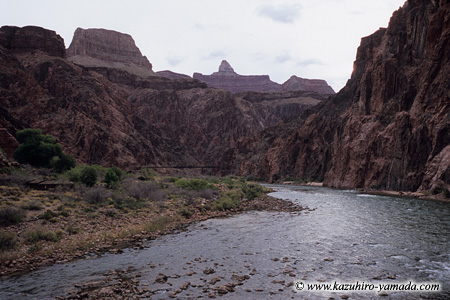Colorado River (2) / �R�����h��