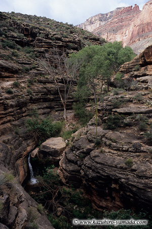 Garden Creek / �K�[�f���N���[�N