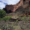 Indian Garden Ranger Station / �C���f�B�A���K�[�f�������W���[�l�ߏ�