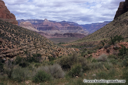 Grand Canyon National Park / �O�����h�L���j�I����������