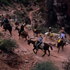 Mule Ride / �~���[���c�A�[