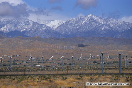 Palm Springs Windmills / �p�[���X�v�����O�X���͔��d��