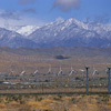 Palm Springs Windmills / �p�[���X�v�����O���͔��d��
