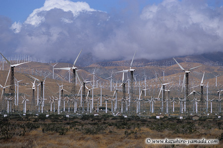 Palm Springs Windmills / �p�[���X�v�����O�X���͔��d��