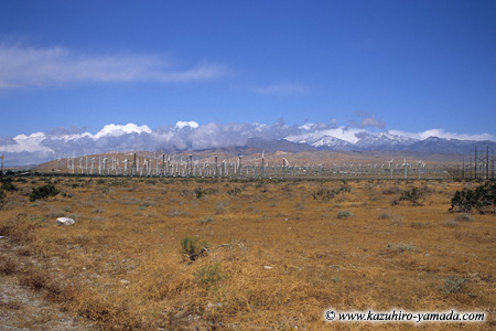 Palm Springs Windmills / �p�[���X�v�����O�X���͔��d��