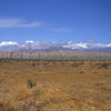Palm Springs Windmills / �p�[���X�v�����O���͔��d��